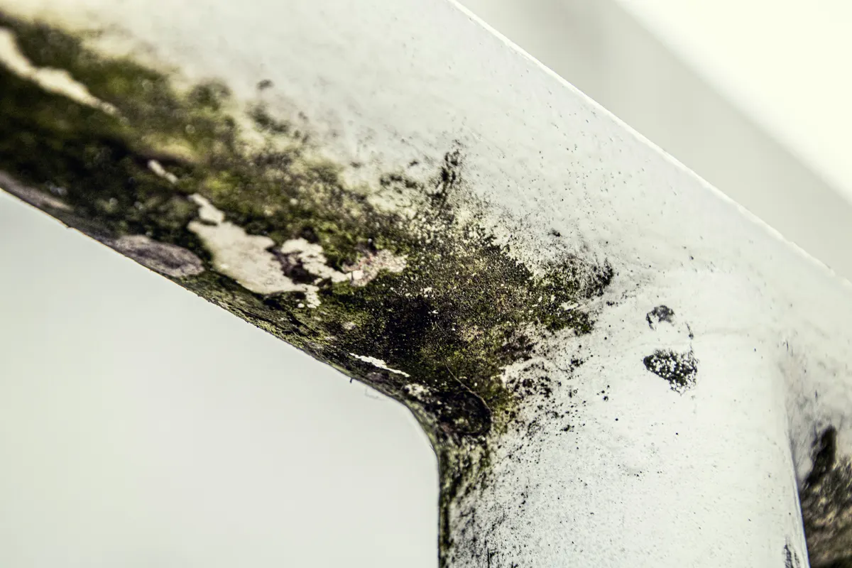 Black mould and condensation around a window reveal